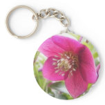 Sun Drenched Hellebore Flower keychains