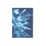 sun exposure "photograph" of leaves, greenery t-shirts