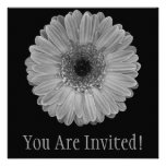 Sun Flower Announcement
