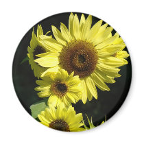 SUN FLOWERS SUNFLOWER MAGNET MAGNETS Gifts
