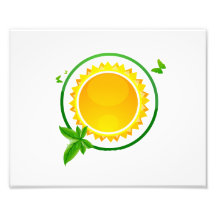 sun green circle butterflies eco design.png art photo