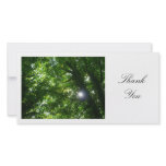 Sun in the Trees - Thank You Photo Card