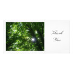 Sun in the Trees - Thank You Personalised Photo Card