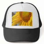 Sun King Hat