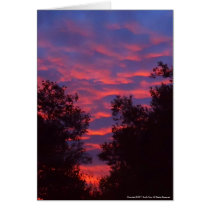 Sun Kissed Clouds Greeting Cards
