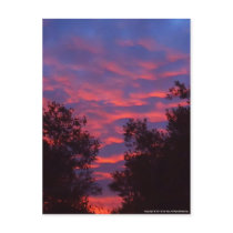 Sun Kissed Clouds Postcard