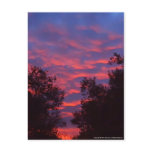 Sun Kissed Clouds postcards