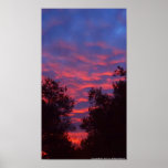 Sun Kissed Clouds posters