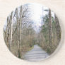 Sun-kissed Winter Branches Beverage Coaster