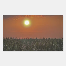 Sun Over a Corn Field Sticker
