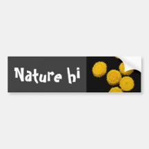 sun pies bumper stickers