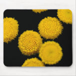 sun pies mousepads