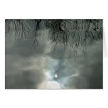 Sun reflects off water greeting cards