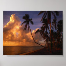 sun set on the beach print