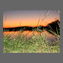 sun set posters