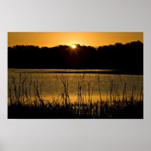 Sun setting over wetland poster