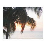 Sun Setting Under Palm Tree Doctor's Cave Jamaica Canvas Prints