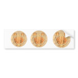 Sun Shine Golden Flames Bumper Stickers