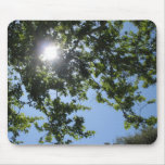Sun shines through the trees - mousepad