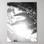 sun shining through palm print