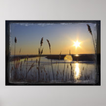 Sun Star Poster