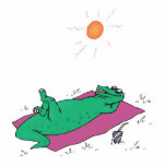 sun tanning crocodile photo sculptures