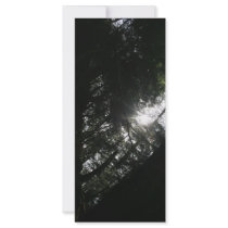 Sun Through Trees Personalized Rack Card