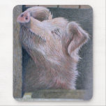 Sun Worship mousepads