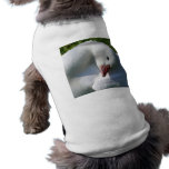 Sun Worshiping Duck pet clothing