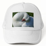 Sun Worshiping Duck Trucker Hat