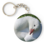 Sun Worshiping Duck keychains