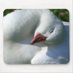 Sun Worshiping Duck mousepads