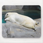 Sunbather Mouse Mats