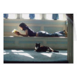 Sunbathing Beauties cards