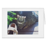 Sunbathing (blank inside) cards