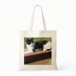 Sunbathing Cat bags