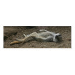 Sunbathing Meerkat Bookmark Business Card