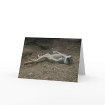 Sunbathing Meerkat Card