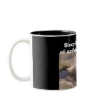 sunbathing seal mug