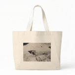 sunbathing toads bags