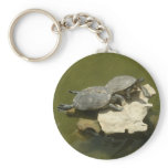 Sunbathing turtles keychains