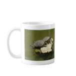 Sunbathing turtles mugs