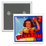 Sunbeam Pins