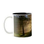 Sunburst Through Trees Mugs