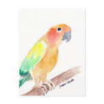 sunconure2 postcards
