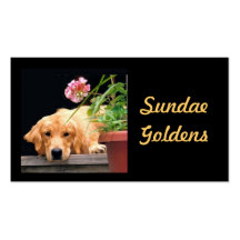 Sundae Goldens Business Card