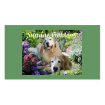 Sundae Goldens Business Card