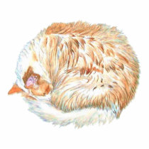 Sundance the Cat Sculpture photo sculptures