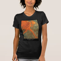 Sunday Sprite T-shirt