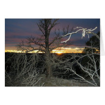 Sundown Greeting Cards